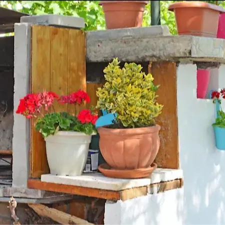 公寓 Lux 特罗吉尔